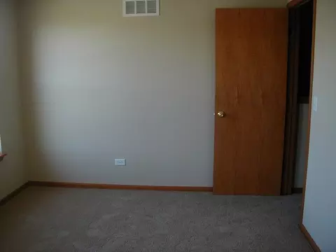 332 Aster Dr, Minooka, IL 60447 photo 11