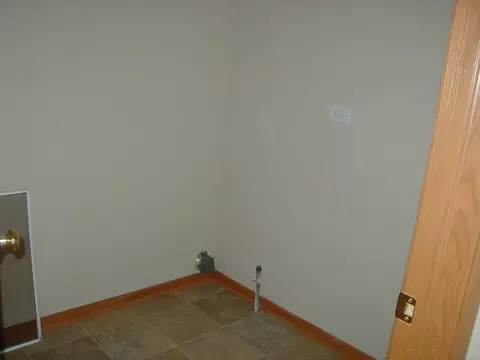 332 Aster Dr, Minooka, IL 60447 photo 9