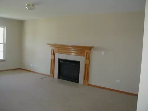 332 Aster Dr, Minooka, IL 60447 photo 4