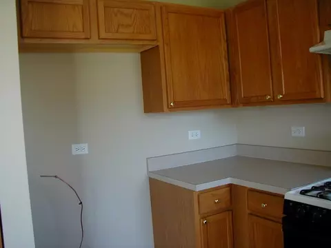 332 Aster Dr, Minooka, IL 60447 photo 3