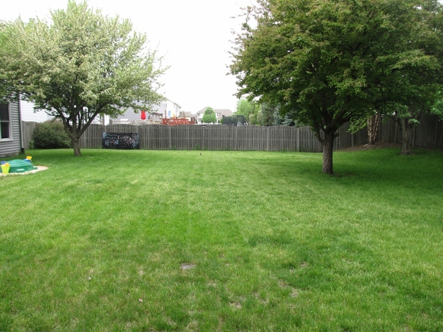 24308 W Partridge Dr, Plainfield, IL 60544 photo 24