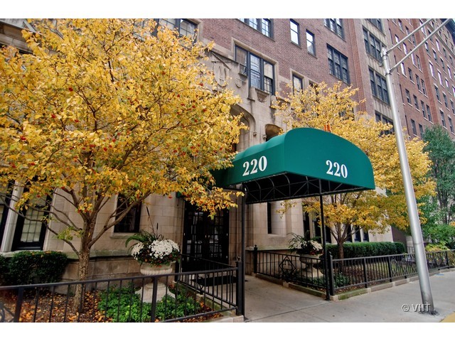 220 E Walton Pl #3E, Chicago, IL 60611 photo 2