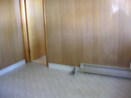 307 Third St, Standard, IL 61363 photo 6