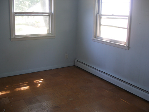 307 Third St, Standard, IL 61363 photo 4