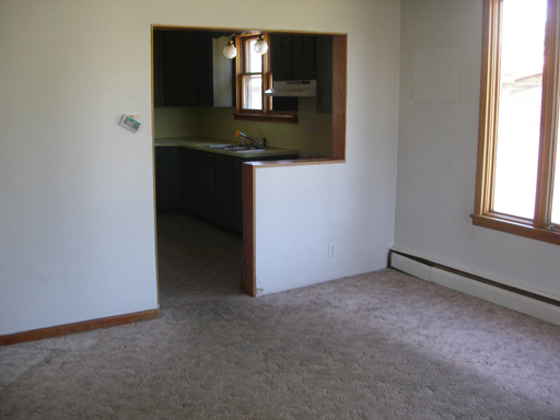 307 Third St, Standard, IL 61363 photo 8