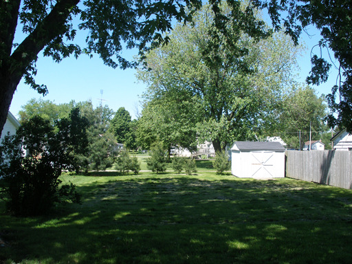 307 Third St, Standard, IL 61363 photo 9