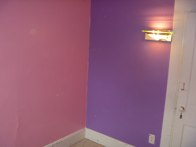 211 Orchard St, Elgin, IL 60123 photo 9