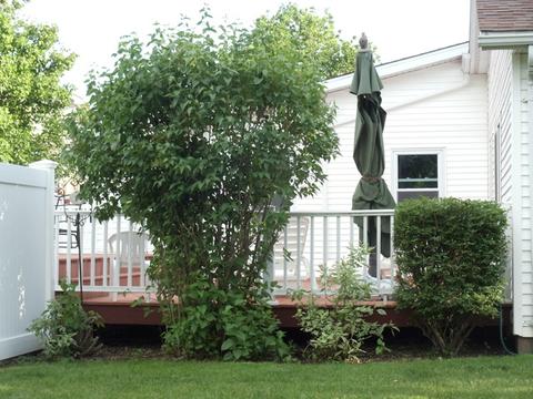308 E Scott Dr, Dwight, IL 60420 photo 13
