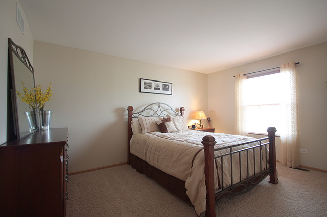 Undisclosed, Plainfield, IL 60544 photo 20