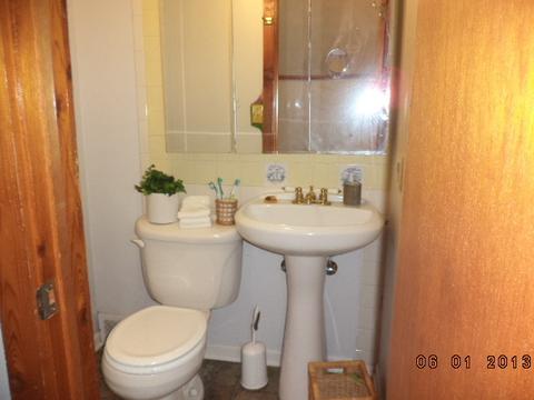 809 Sheldon Ave, Aurora, IL 60506 photo 13