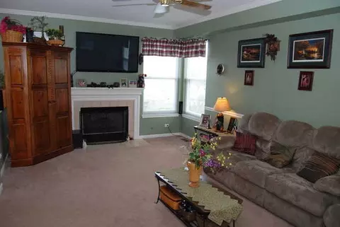 10134 Compton Dr, Huntley, IL 60142 photo 6
