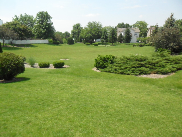 2123 Abbey Cir, Plainfield, IL 60586 photo 2