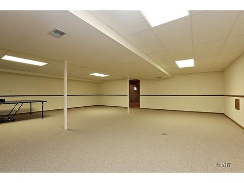 20235 Wilderness Trl, Olympia Fields, IL 60461 photo 9