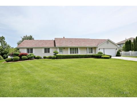 20235 Wilderness Trl, Olympia Fields, IL 60461 photo 1