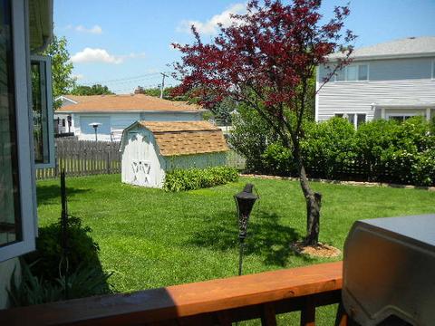 4960 Herbert Ct, Monee, IL 60449 photo 13