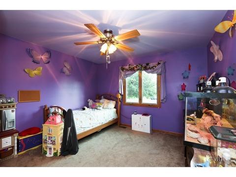 4960 Herbert Ct, Monee, IL 60449 photo 7