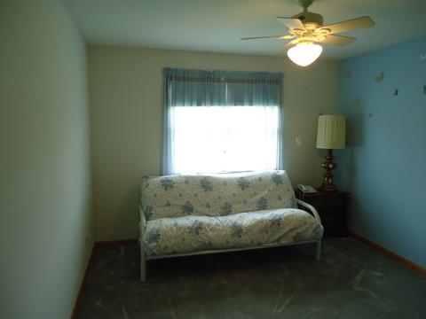 156 Winding Trl, Diamond, IL 60416 photo 20