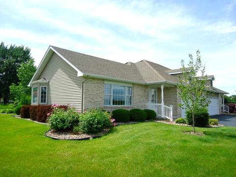 156 Winding Trl, Diamond, IL 60416 photo 1