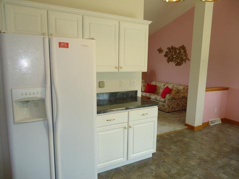 156 Winding Trl, Diamond, IL 60416 photo 8