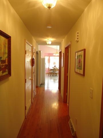 156 Winding Trl, Diamond, IL 60416 photo 14