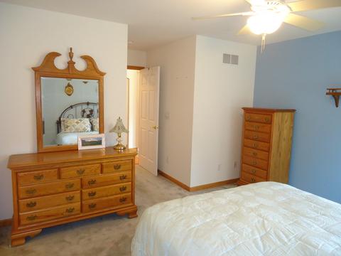 156 Winding Trl, Diamond, IL 60416 photo 17