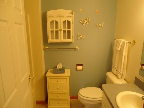 156 Winding Trl, Diamond, IL 60416 photo 18