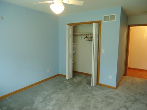 156 Winding Trl, Diamond, IL 60416 photo 21