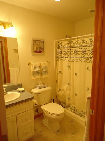156 Winding Trl, Diamond, IL 60416 photo 19