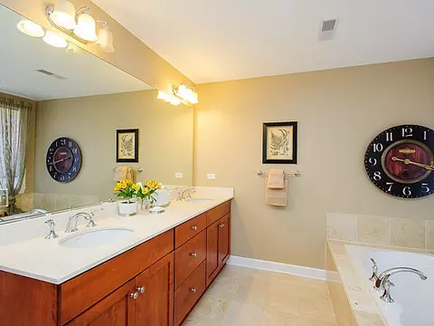 417 N Lathrop Ave #4E, River Forest, IL 60305 photo 12