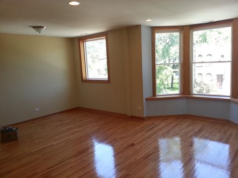 427 E 42nd Pl, Chicago, IL 60653 photo 15