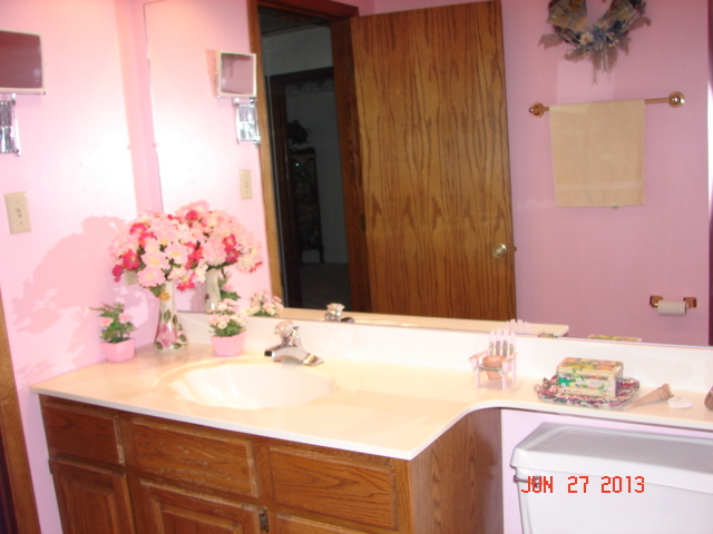 18220 Clyde Ave, Lansing, IL 60438 photo 18