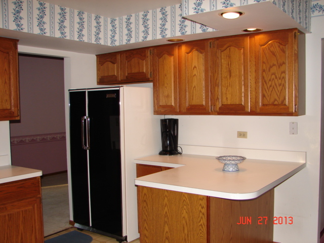 18220 Clyde Ave, Lansing, IL 60438 photo 14