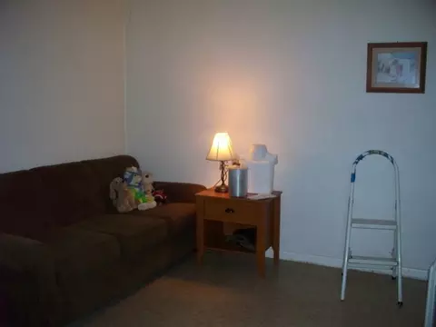 1441 Chippewa Dr, Ottawa, IL 61350 photo 8