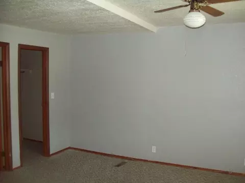 143 S Main St, Walnut, IL 61376 photo 5