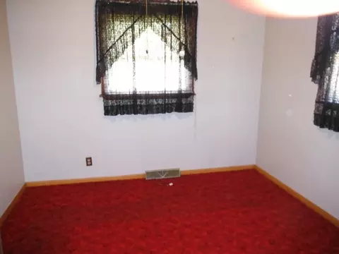 421 E Cleveland St, Spring Valley, IL 61362 photo 5