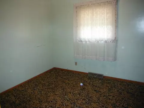 421 E Cleveland St, Spring Valley, IL 61362 photo 4