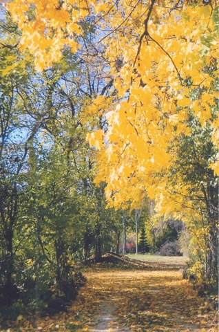 1970 Orchard Rd, Wheaton, IL 60187 photo 23