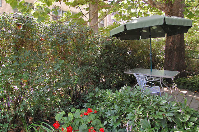 1319 E Prairie Ave, Des Plaines, IL 60016 photo 24