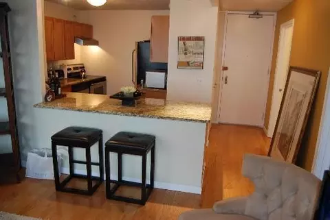 30 E Huron St #3408, Chicago, IL 60611 photo 3