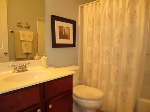1410 Bridgehampton Dr, Plainfield, IL 60586 photo 14