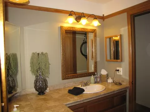 1023 Bentley Ln, Bartlett, IL 60103 photo 8