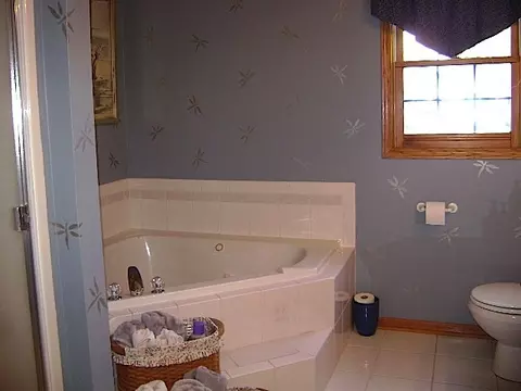 24145 Simo Dr, Plainfield, IL 60586 photo 14