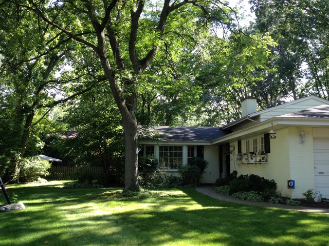 1009 Juniper Ter, Glenview, IL 60025 photo 1