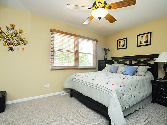 136 Coral Ln, Wheeling, IL 60090 photo 9