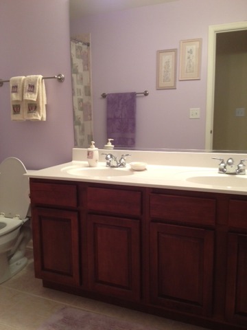 14526 Colonial Pkwy, Plainfield, IL 60544 photo 15