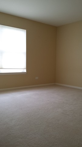14526 Colonial Pkwy, Plainfield, IL 60544 photo 16