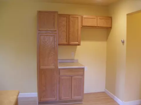 208 W Third St, Lostant, IL 61334 photo 5