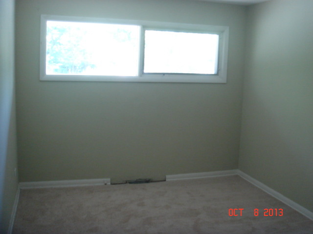10 Brookside Rd, Park Forest, IL 60466 photo 10