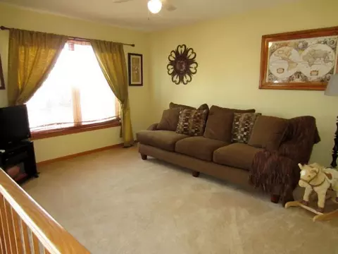 7606 Locust Ln, Plainfield, IL 60586 photo 19