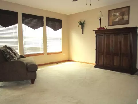 7606 Locust Ln, Plainfield, IL 60586 photo 10